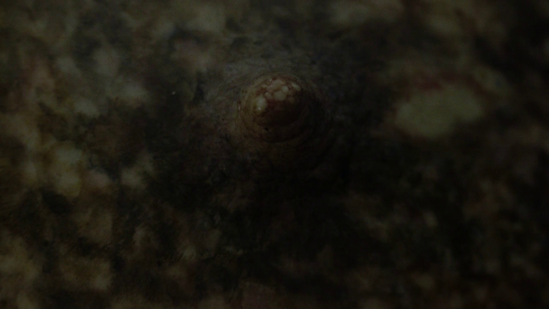 In the Eye of the Beholder
