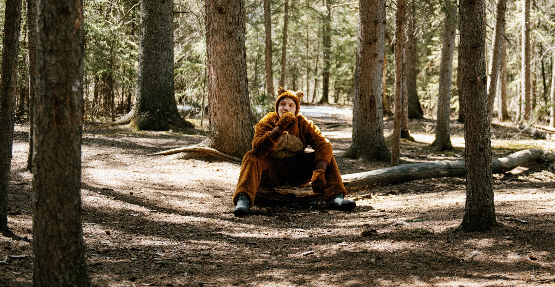 Now, I Am A Bear