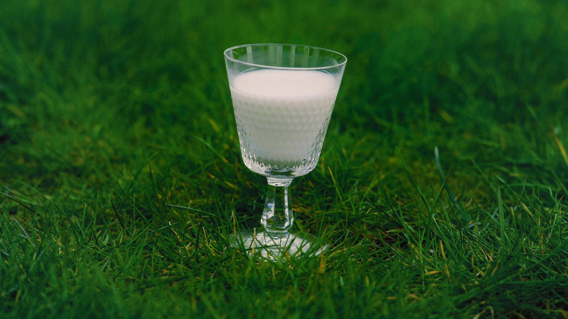 Zure Melk