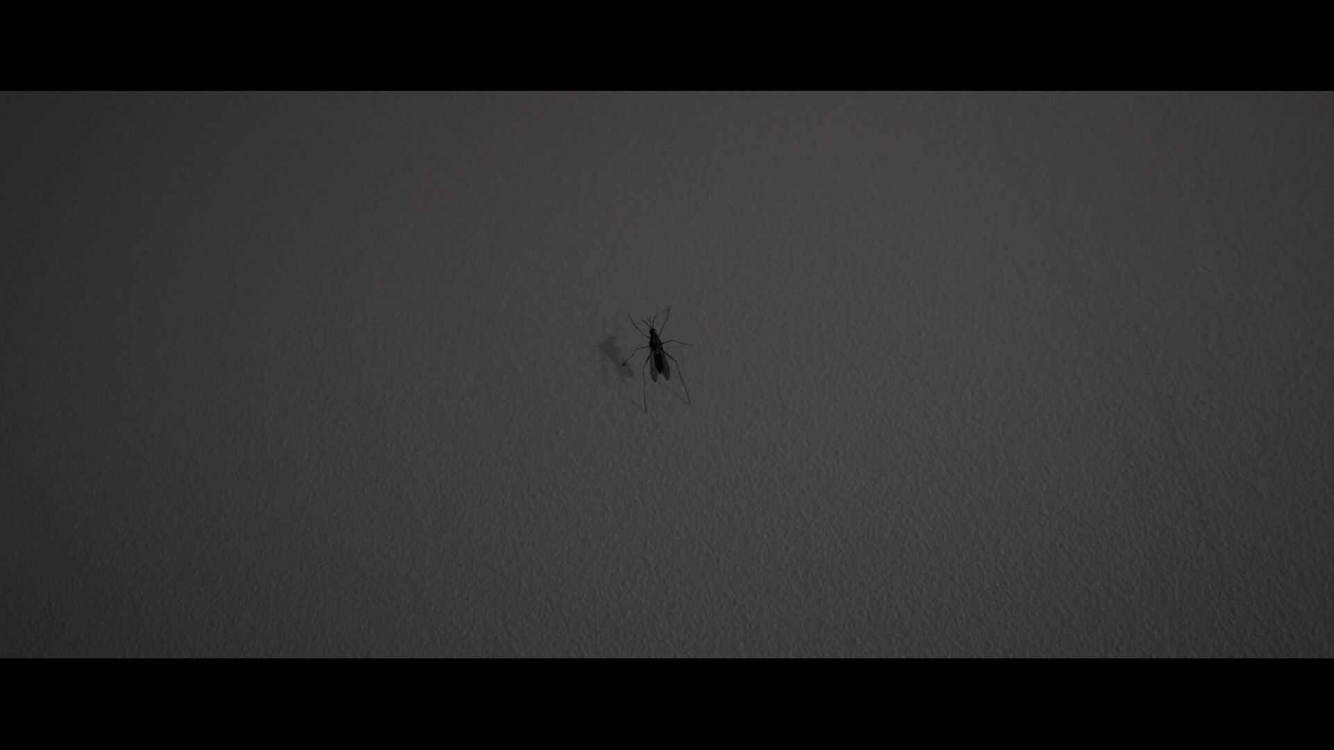 MOSQUITO