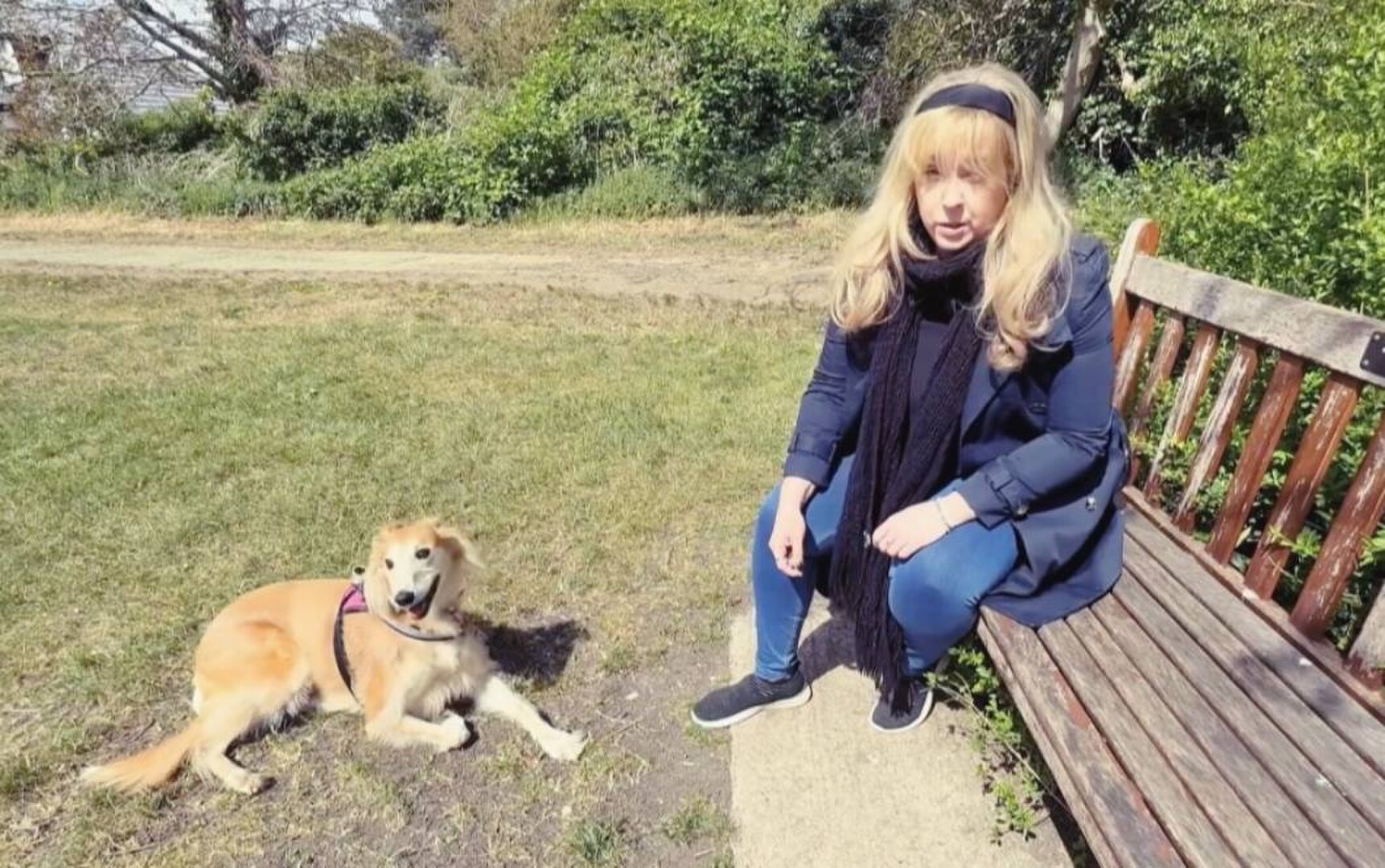 Dogs and Ghosts