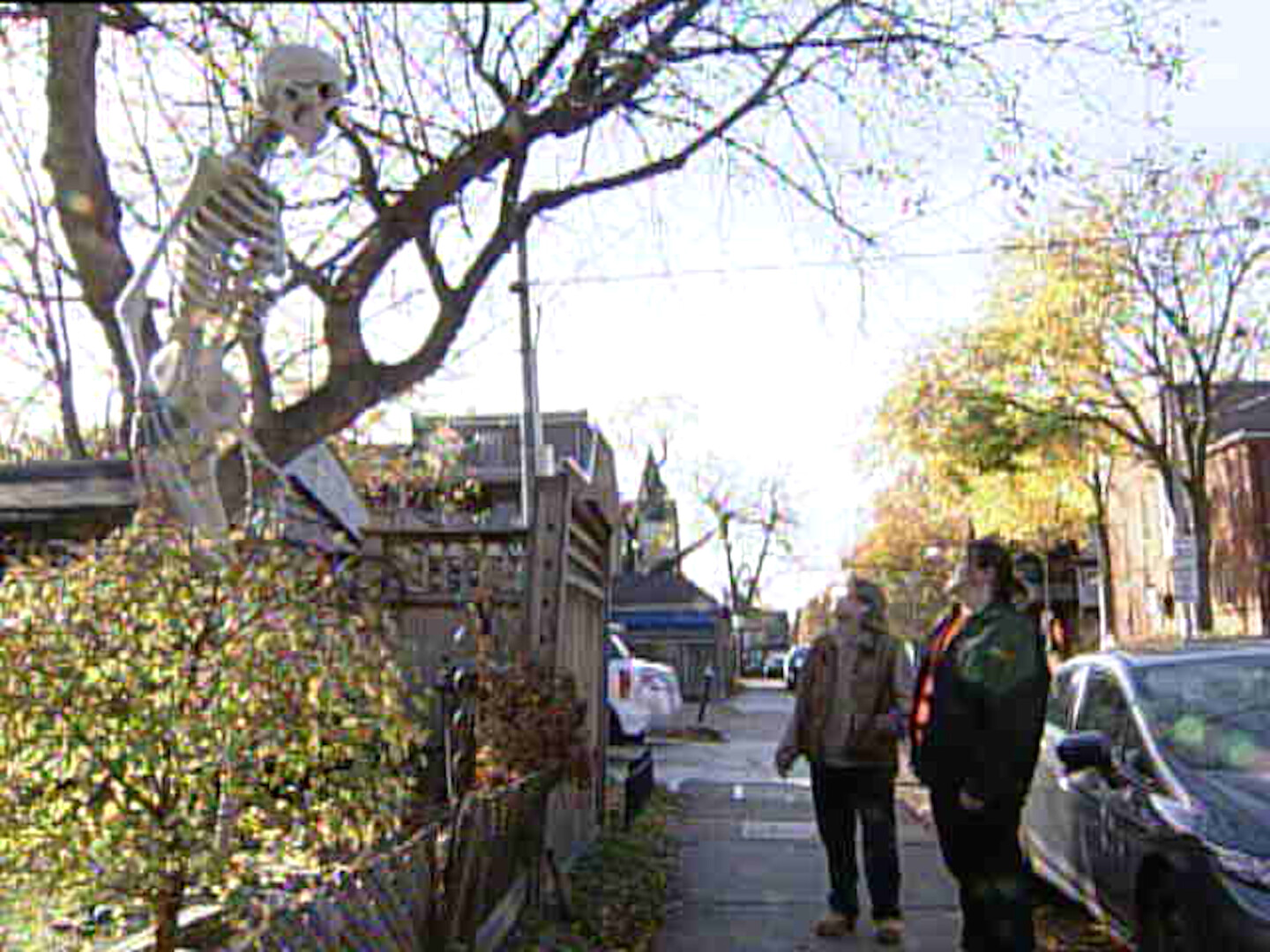 Giant Skeleton