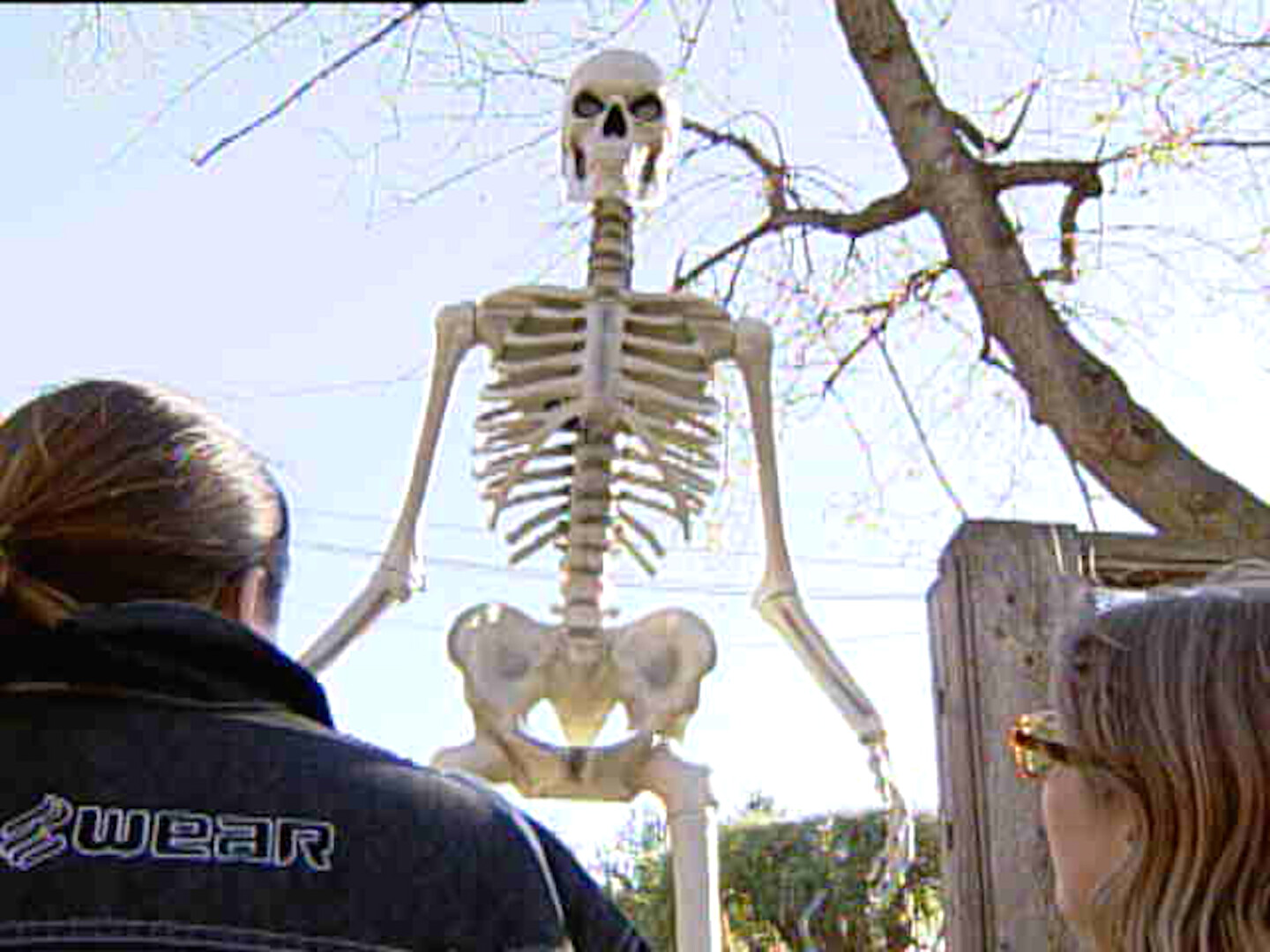 Giant Skeleton