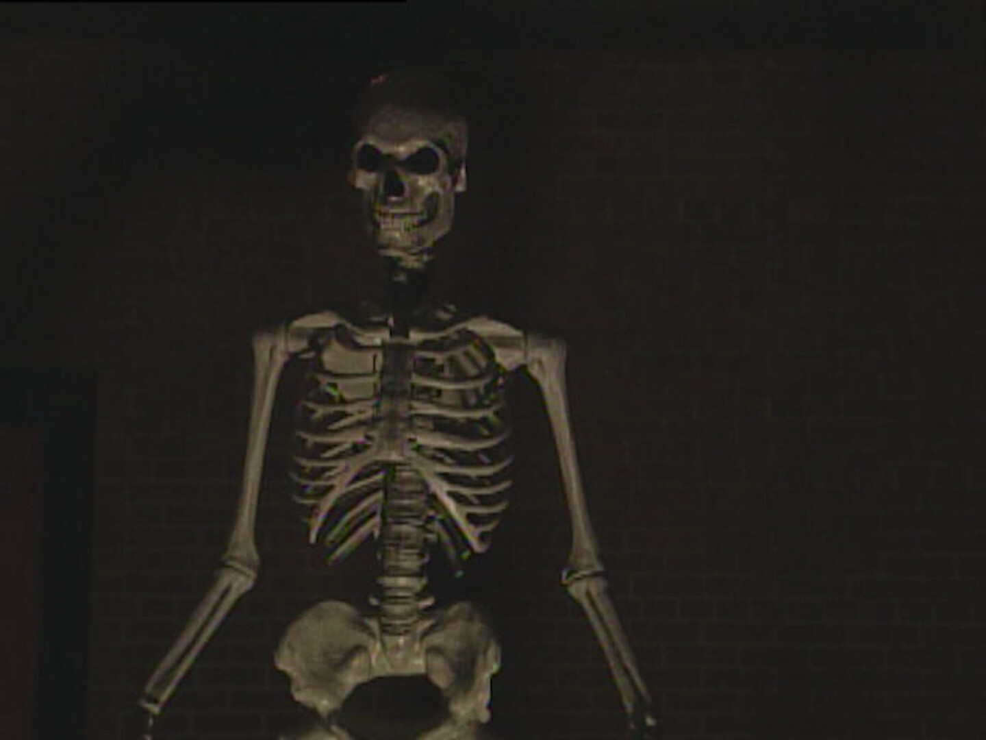 Giant Skeleton