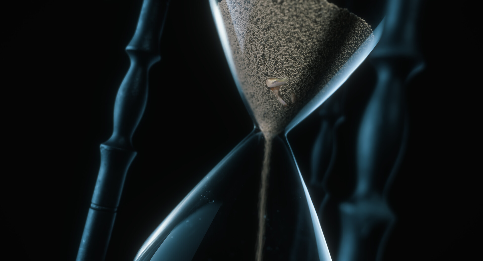 In the Teeth of Time
