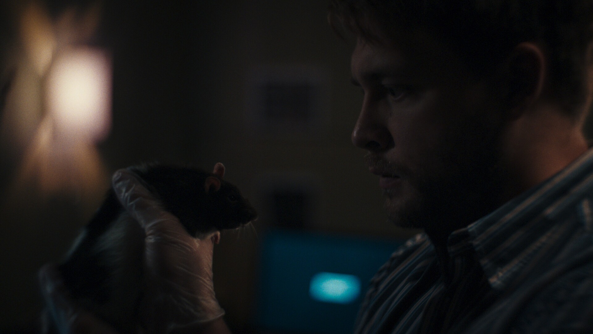THE RAT