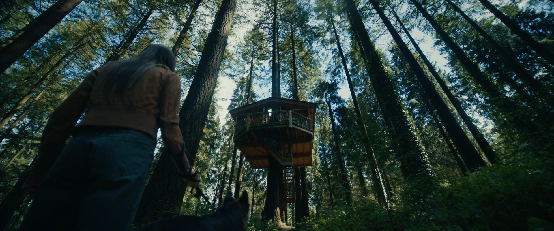 The TreeHouse