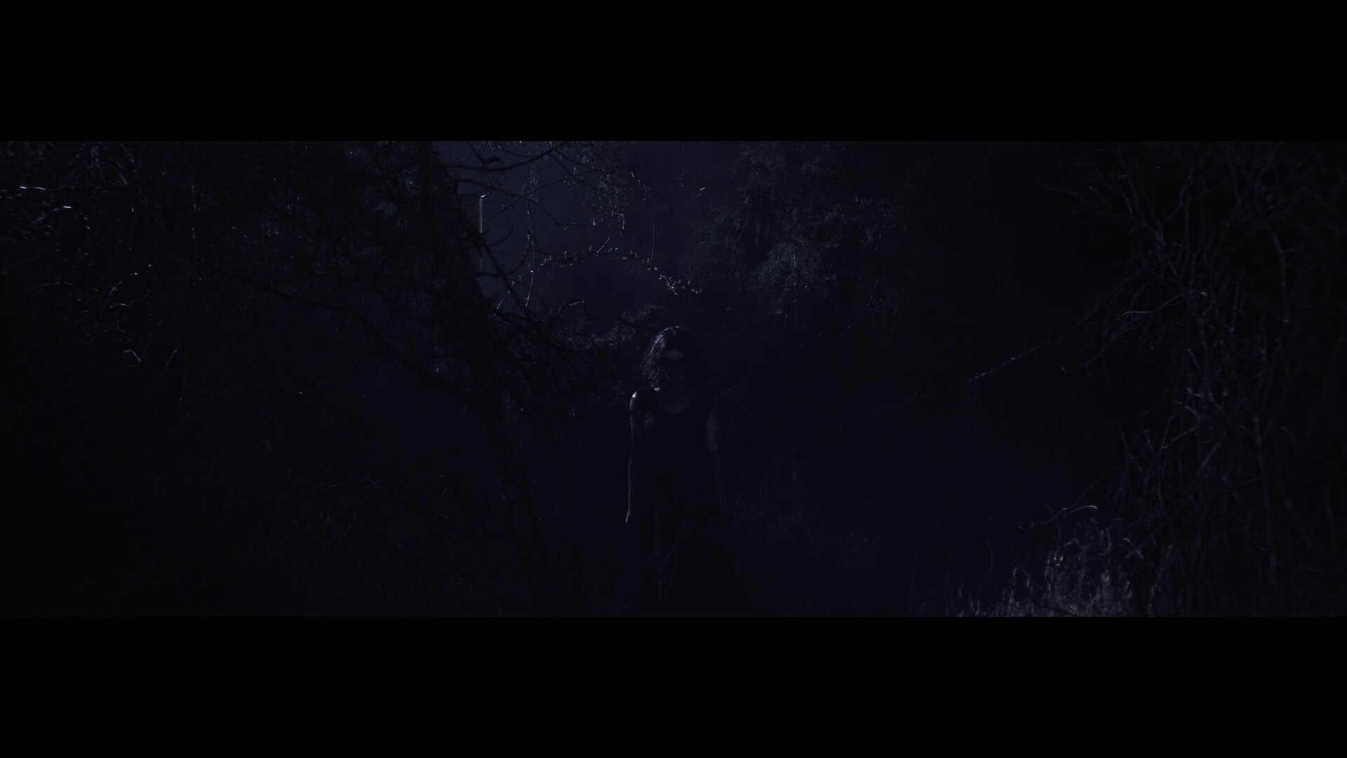 Wraith