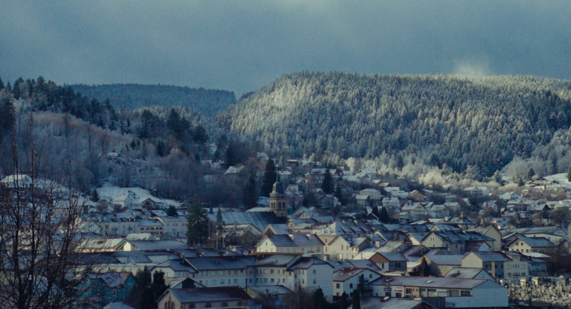 Papya