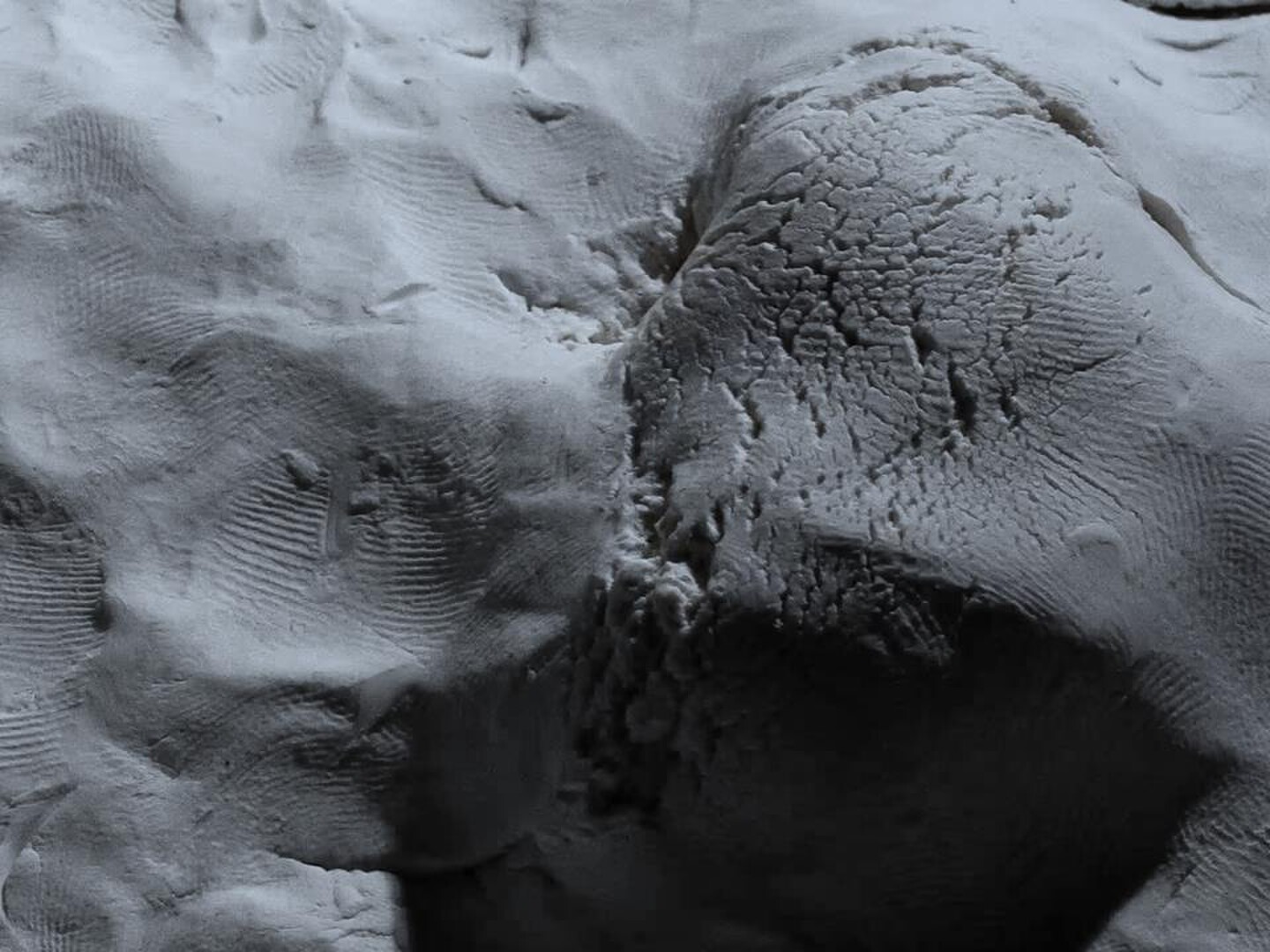 Life on the Moon