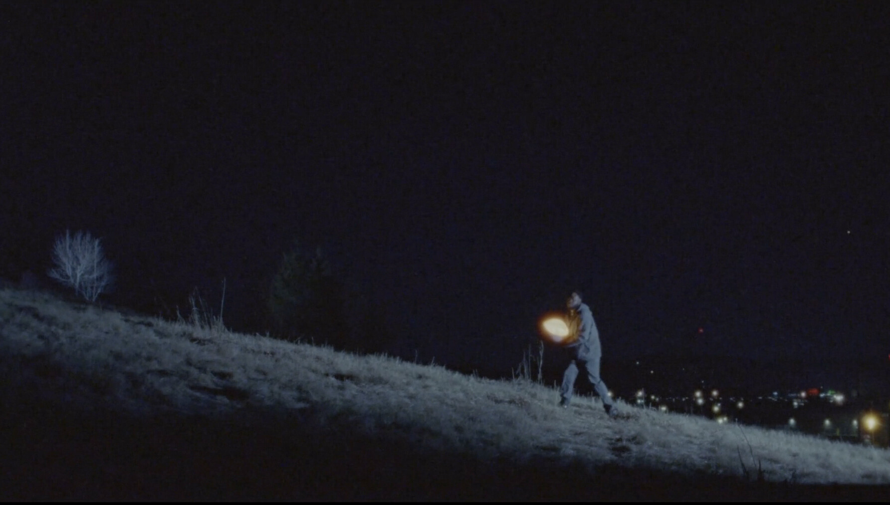The Streetlight