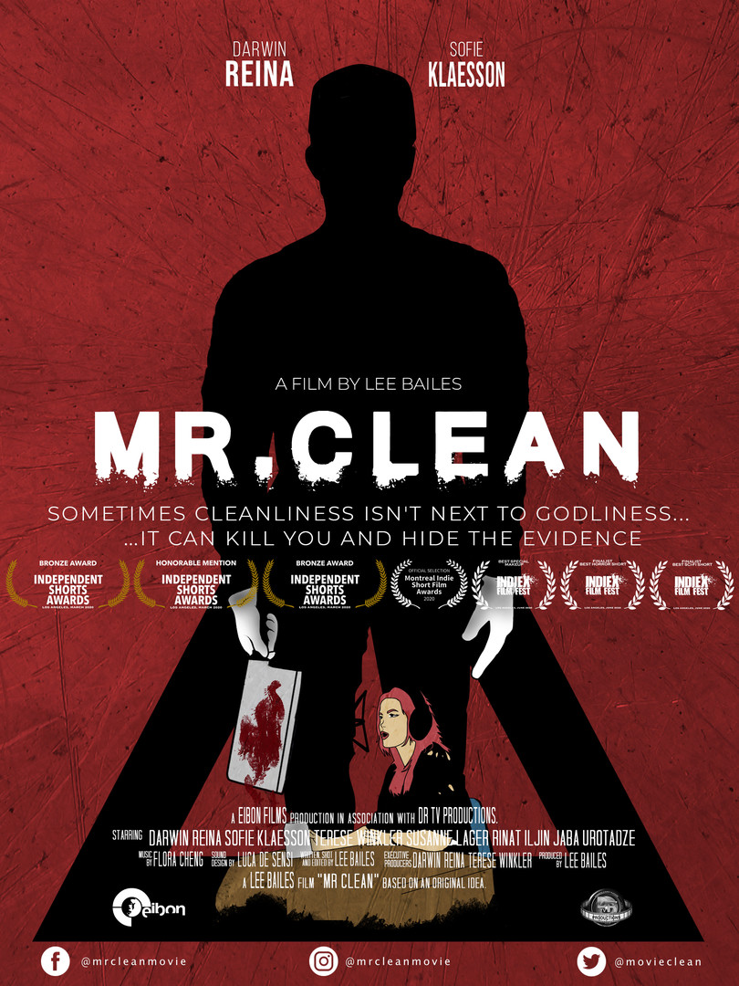 MR CLEAN