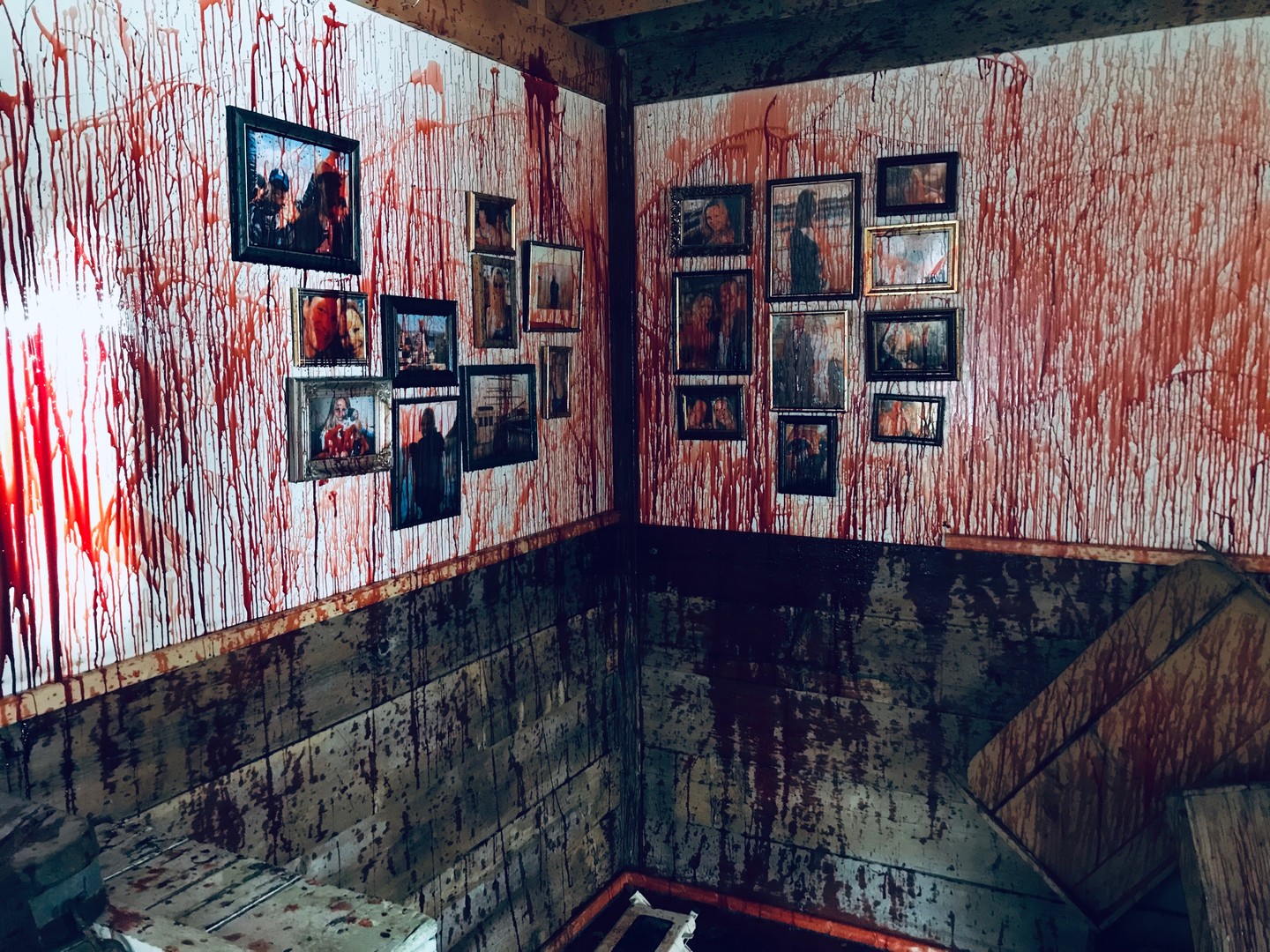 Bloodshed