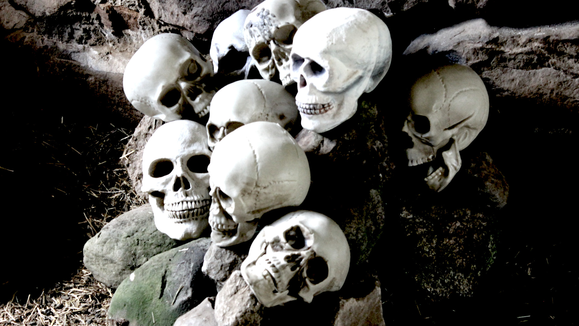 Pandemic (House of Bones)
