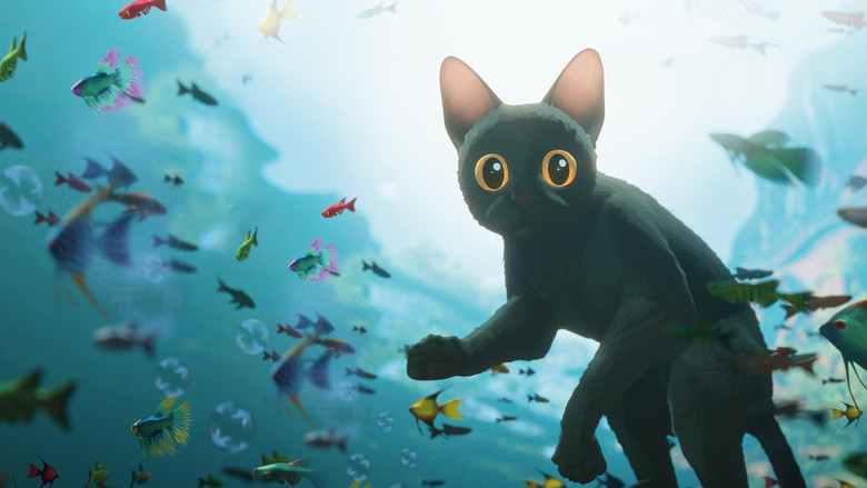 Flow, le chat qui n'avait plus peur de l'eau