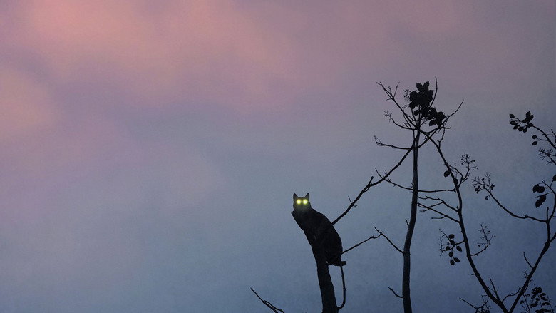 Forest: I See You Everywhere