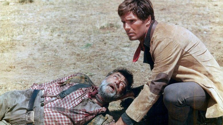 Fort Yuma Gold