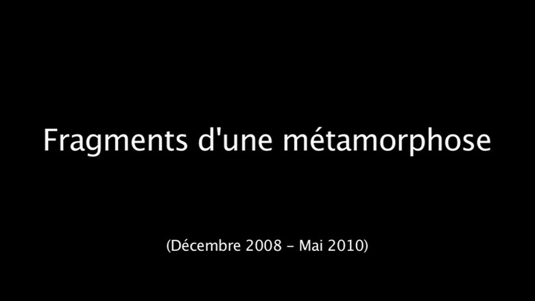 Fragments d'une métamorphose