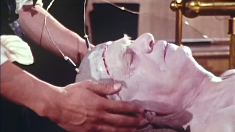 Frankenstein: A Love Story