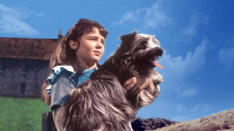 Greyfriars Bobby