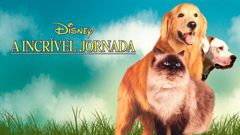 Homeward Bound: The Incredible Journey