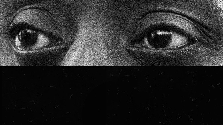 I Am Not Your Negro