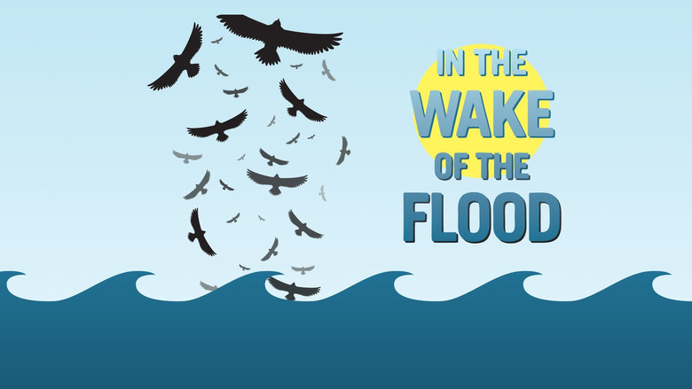 In the Wake of the Flood