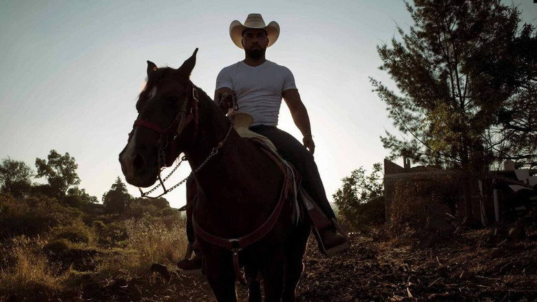 Jaripeo