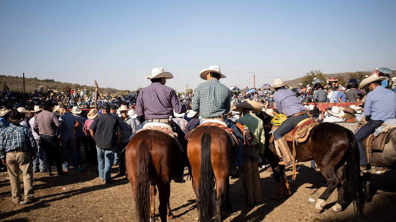 Jaripeo