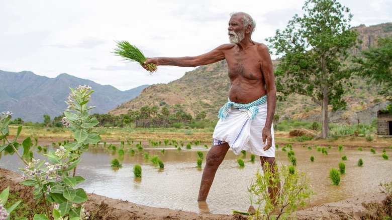 கடைசி விவசாயி