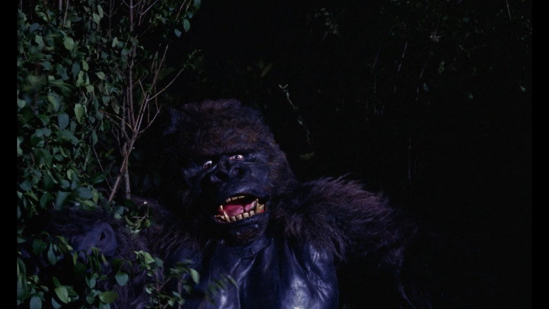 Konga