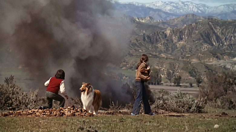 Lassie: The New Beginning