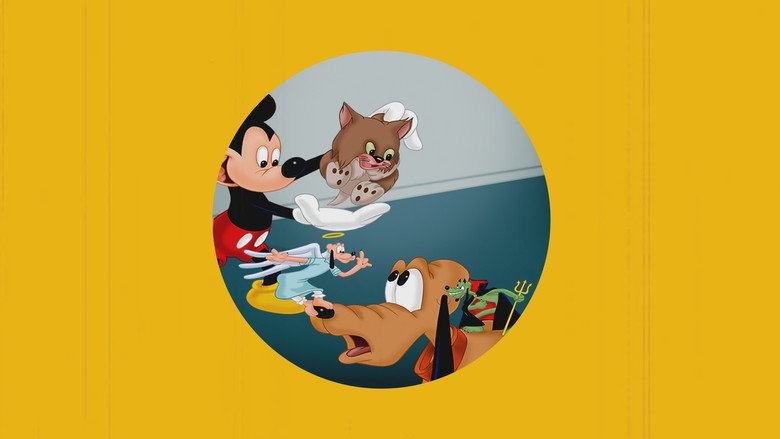 Lend a Paw