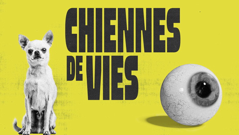 Chiennes de vies