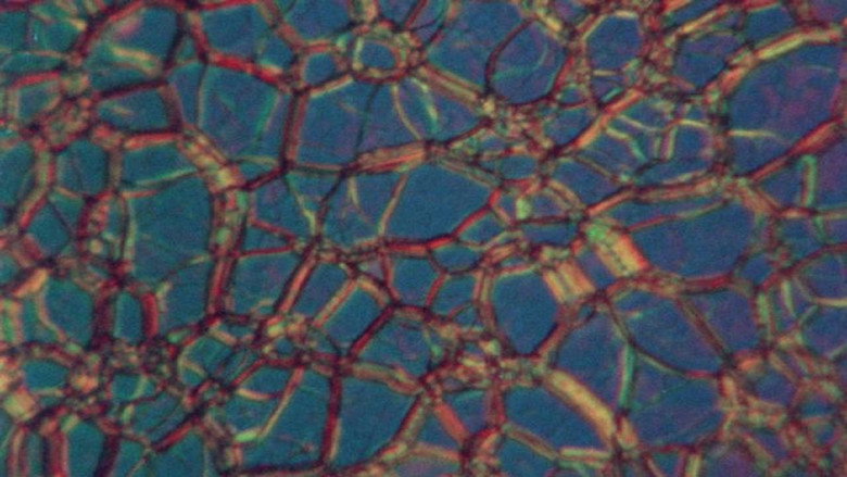 Liquid Crystals