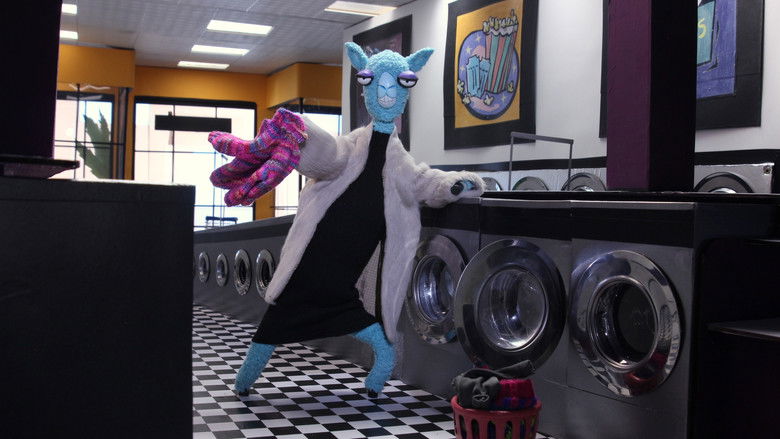 Llamas at the Laundromat