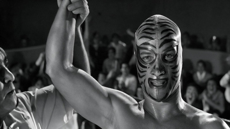 Los tigres del ring