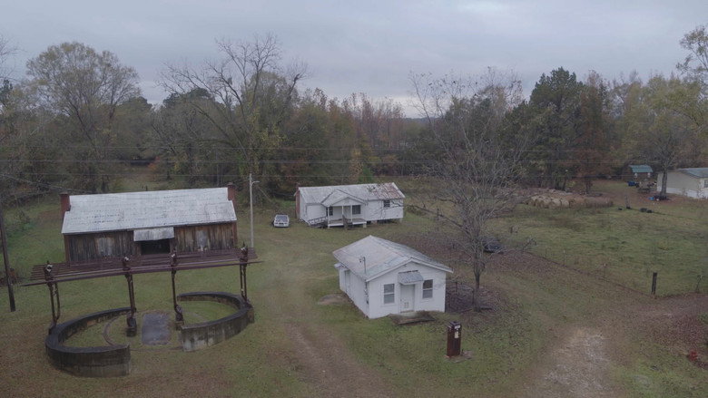 Lowndes County and the Road to Black Power