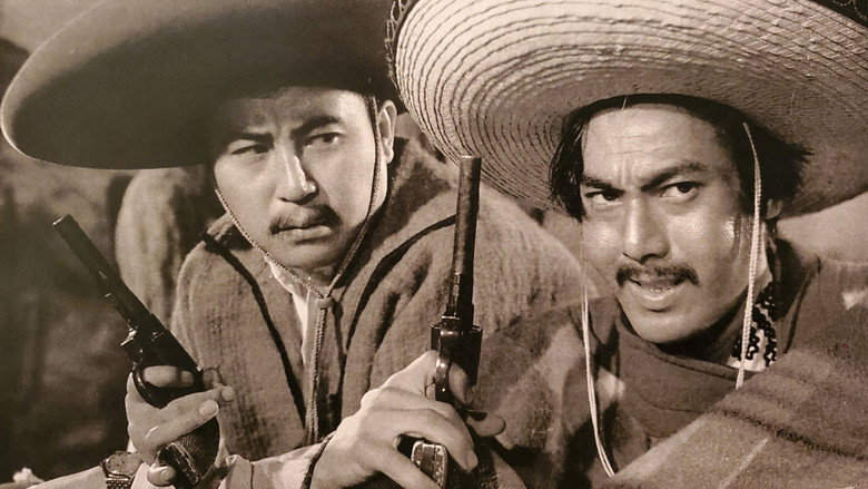Mexico Drifter