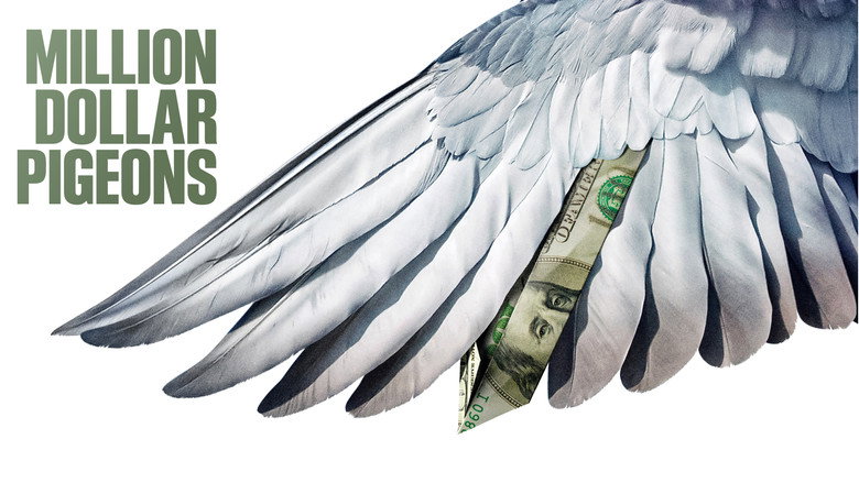 Million Dollar Pigeons