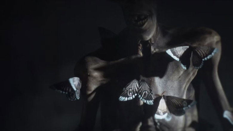 Moths
