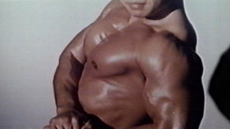 Muscle