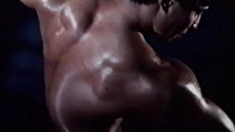 Muscle