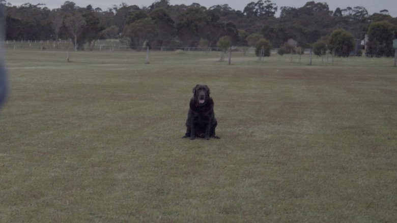 Mutt