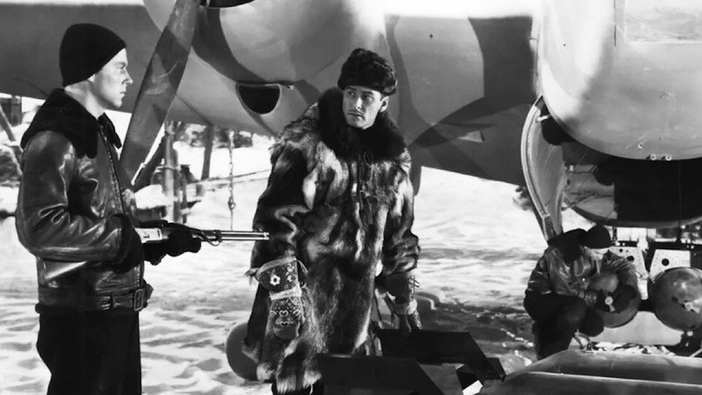 Northern Pursuit