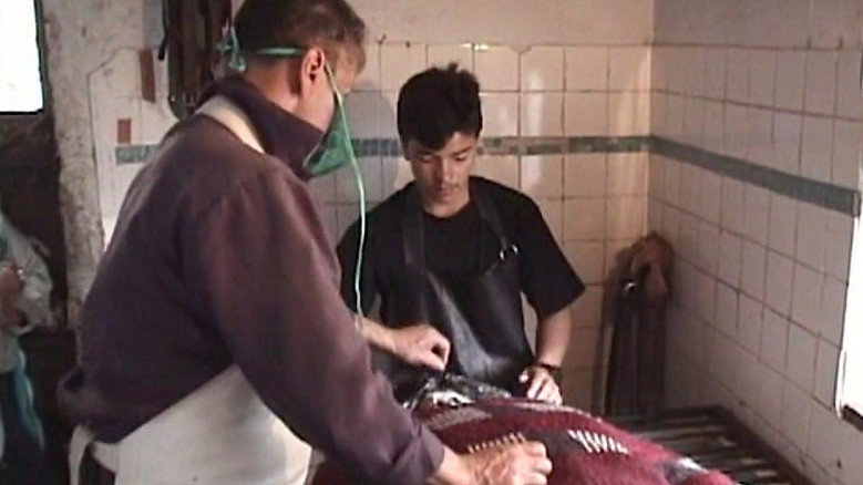 Orozco the Embalmer