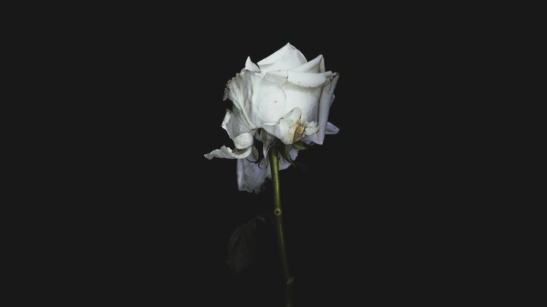 Oslo, 31 août