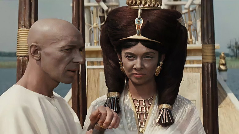 Pharaoh