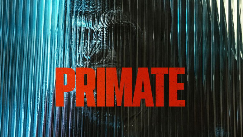 Primate