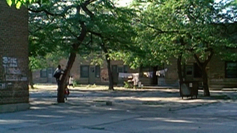 Public Housing